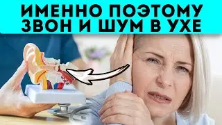 Раскрыты все причины! Шум и звон в ушах говорят нам о болезни...