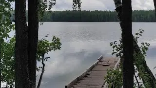 Мобильная баня Mobiba на берегу лесного озера.