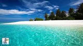 Breathtaking Beaches 🌊 Amazing Nature Scenery & The Best Relax Music