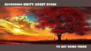 Unity Asset Store 2021