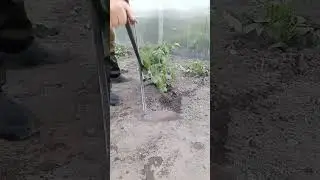 Ручной окучник инструмент для дачи и огорода