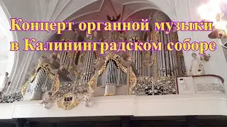 Концерт органной музыки в калининградском кафедральном соборе