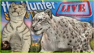 The Tigers Are INCREDIBLE... But Lets Hunt Snow Leopards As Well! Call of the wild Early Access