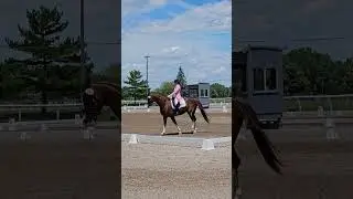 Amanda Braun and Commando - PSG Indiana Dressage Show June