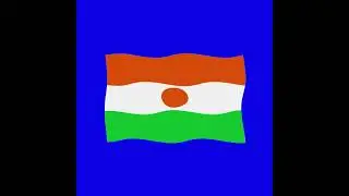 niger 2d flag green screen flag animation