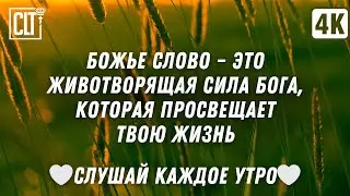 Божье Слово наполняет тебя живительной силой | Библия утром | Relaxing