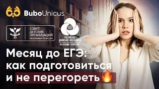 Месяц до ЕГЭ: как подготовиться и не перегореть