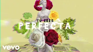 Luis Fonsi, Farruko - Perfecta (Lyric Video)