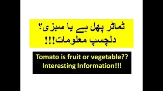 Tomato is fruit or vegetable | Tamatar phal hai ya sabzi | Definition of fruit or vegetable | Info