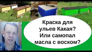 Покраска Владимирских ульев для бизнес пасеки, чтобы они служили более десяти лет