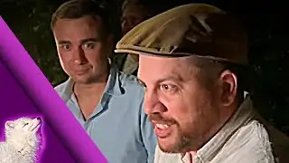 Осторожно, новиопомодерн!