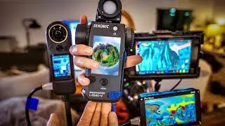 Light Meter vs False Color: Proper Exposure for 360° or VR180 Video | VR Filmmaking 101