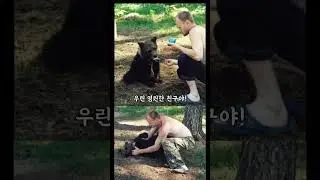 자신이 키우던 곰한테 잡아먹힌 남자