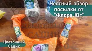 Честный обзор посылки из интернет-магазина 