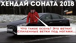 ХЕНДАЙ СОНАТА 2018: это точно премиальная тачка?