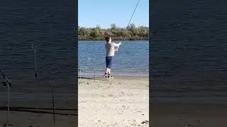 Дон!!! #рыбалка #рыбалканадону #фидер #карп #сазан #fishing #амур #карась #дон #черепах