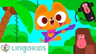 ⛈️ ITS RAINING ITS POURING 🌧️ Learn About the Rainforest | Lingokids