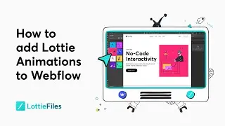 How to add Lottie animations in Webflow (The No-Code Way)