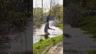 ПОЛНОЕ ВИДЕО СМОТРЕТЬ В МОЁМ ТЕЛЕГРАММ КАНАЛЕ t.me/@narkoclinic ССЫЛКА В ОПИСАНИИ ПРОФИЛЯ 