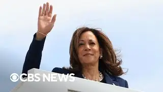 Democrats harness Harris momentum to rally around VP