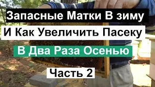 Пасека 