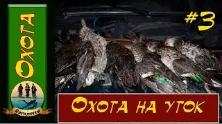 Охота на уток #3. Сезон охоты 2016 года в Крыму.