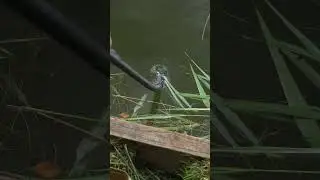 THROWING STICK HACK😱