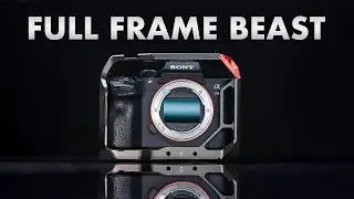 Sony A7iii Review in 2024 - 5 Year Review