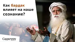 Как чистота влияет на наше благополучие?