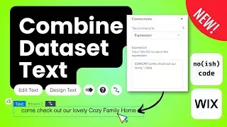NEW! Create Dynamic Text with Collection Data using Expressions