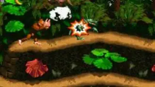 Donkey Kong Country 101% A - Banana Scavenger