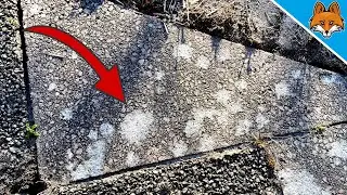 Remove Lichen from Paving Stones 💥 (EASIER it is NOT possible) 🤯