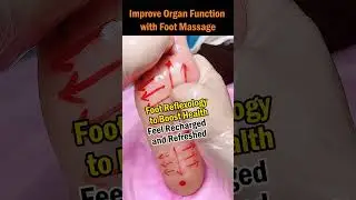 Improve Organ Function with Foot Massage 