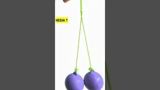 Lato lato lagi viral? Darimana asal nya