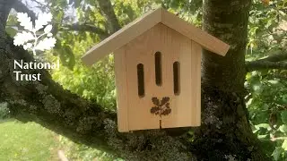 Build your own butterfly house with CJ Wildlife and the National Trust