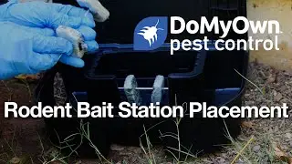 How to Place Outdoor Rodent Bait Stations | DoMyOwn.com