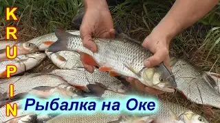 На Оке в августе. Аномальная жара. Рыба бастует, но не у Всех