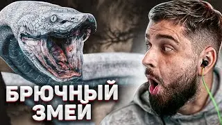 HUGE TROUSER SNAKE - Sekiro Shadows Die Twice #2
