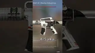 M4A4 Vs M4A1-S - Which is Better?