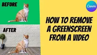 Remove a greenscreen from a video using Canva (ONE CLICK) 2024