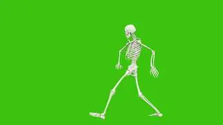 Free footage. Skeleton dancing. Seamless loop animation on green screen.