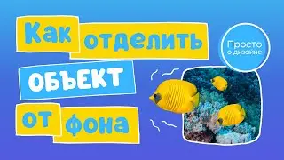 Как вырезать объект из фона на фото в Canva Magic Studio | Новый AI инструмент Magic Grab