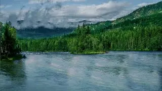 nature background video / river sounds / beautiful views of the world / relaxing place video