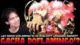 Gacha Demi Doflamingo E5!!? - Epic Treasure