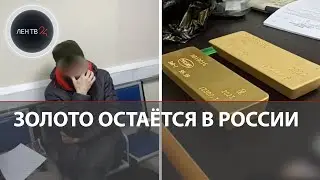 Контрабанда золота в слитках через Домодедово | 24 кг золота не дали вывезти из России