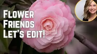 Do you love flowers? Let's beautifully edit them using Lightroom.