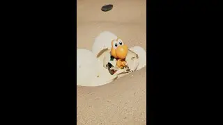 How Koopas are born 