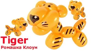 How to Make a Tiger Balloon Animal TUTORIAL