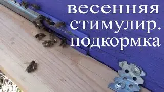 Весенняя стимулирующая подкормка пчел сиропом. Стимуляция матки к яйцекладке.