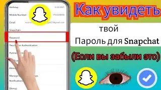 Как увидеть свой пароль от Snapchat, если вы его забыли